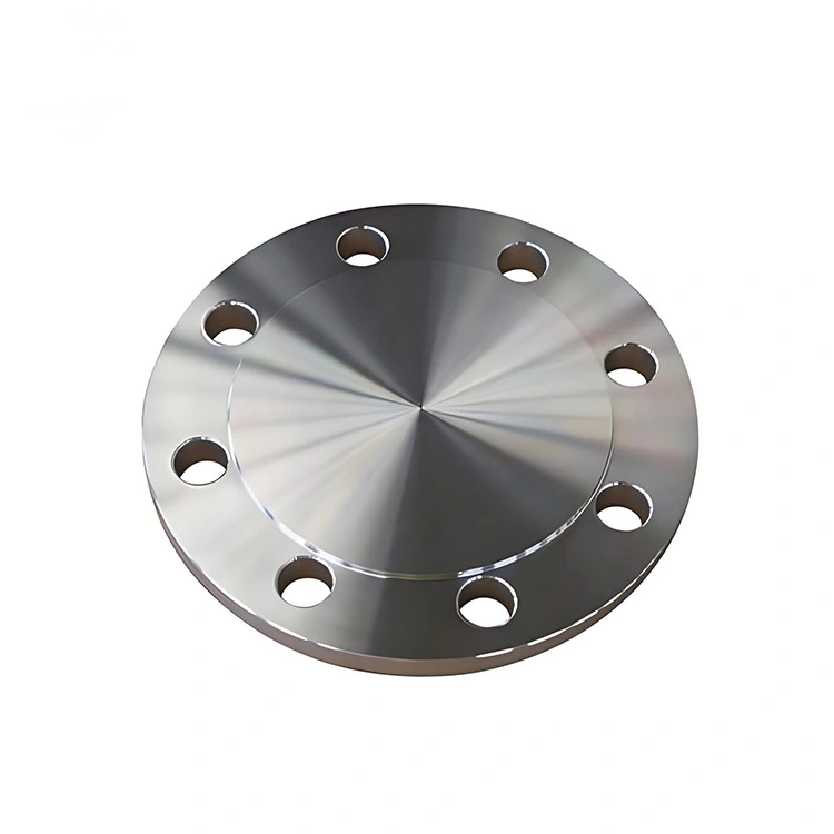 Duplex Steel S31803 Blind Flanges